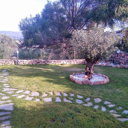 Villetta Cala D'Ambra San Teodoro  Exteriör bild